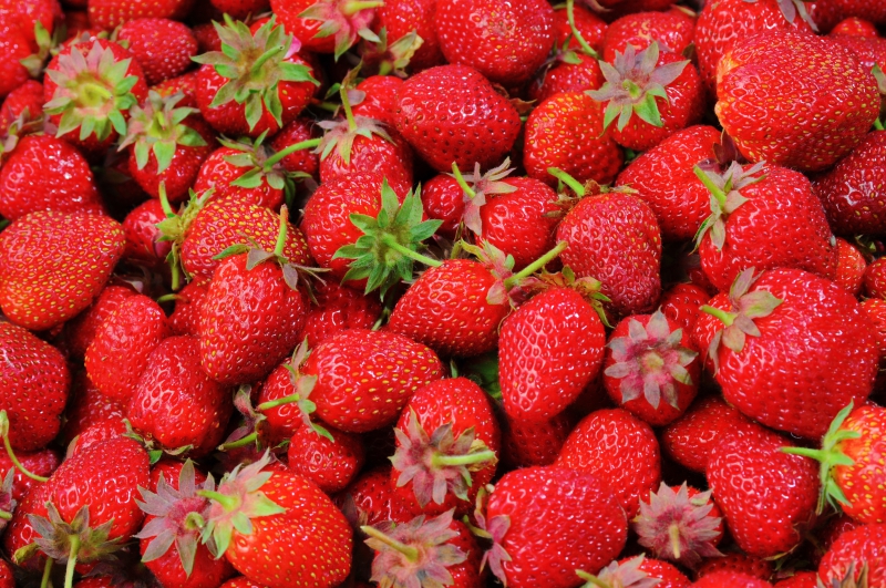 primeur-MEOUNES LES MONTRIEUX-min_strawberries-528791